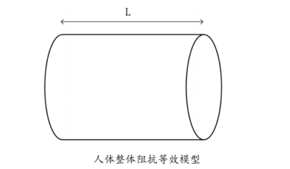 体脂的？数据准确吗？一起来了解开元棋牌试玩体脂秤是怎么测出(图5)